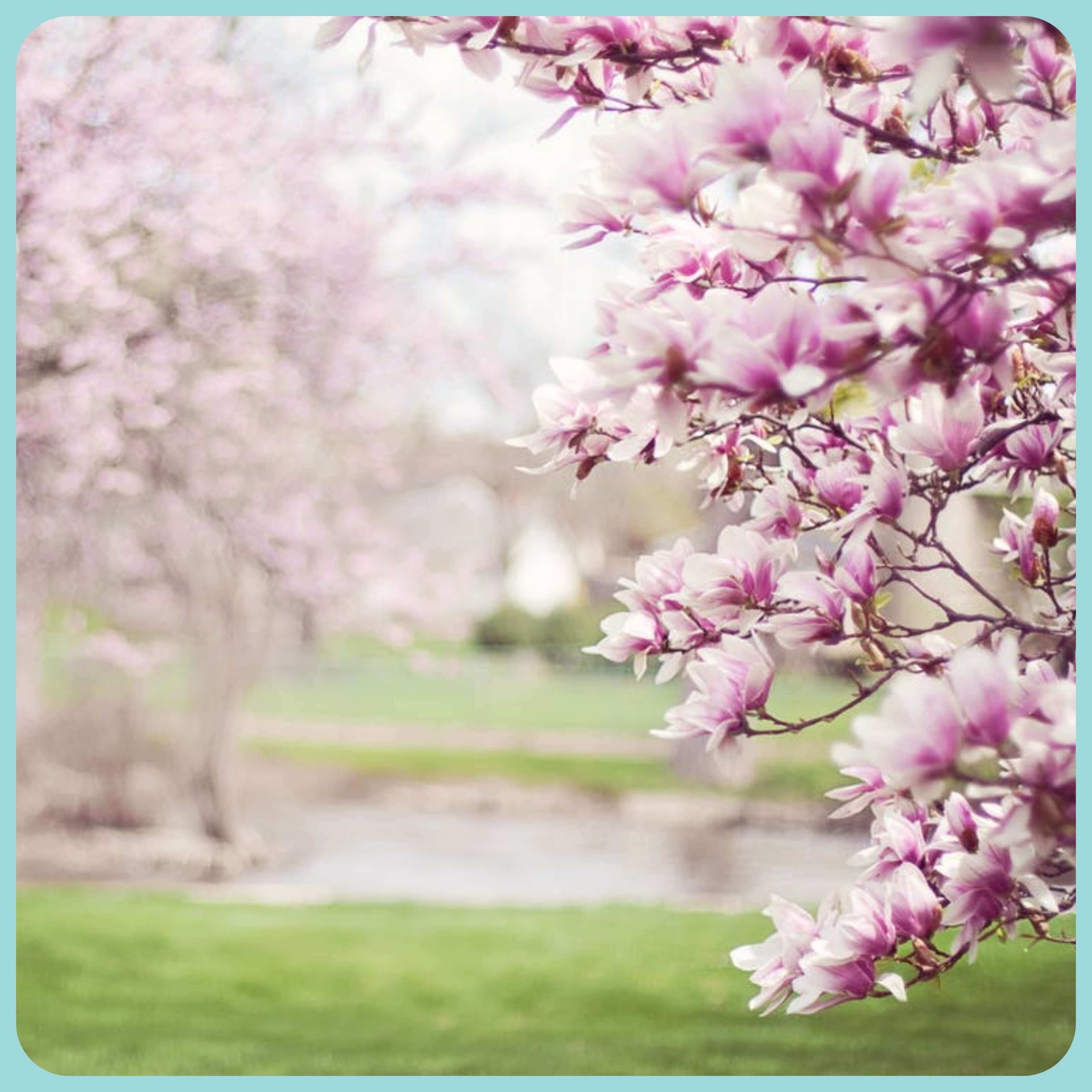 Les Nouveautés du Printemps