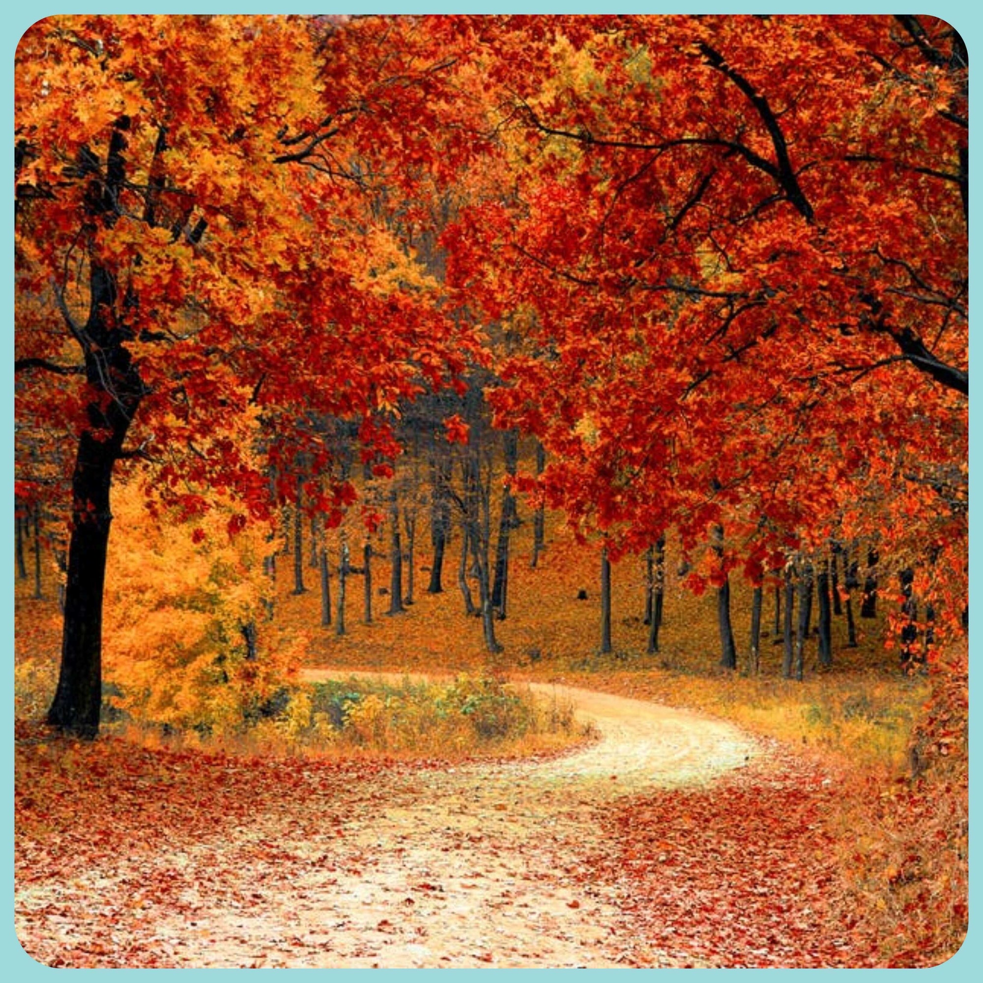 Autumn New Arrivals