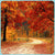 Autumn New Arrivals