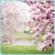 Spring New Arrivals